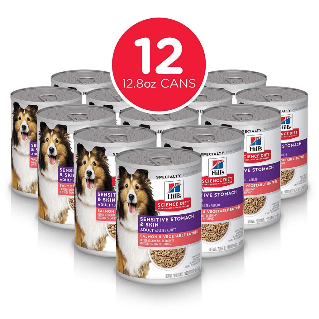 10 Best Wet Dog Foods Your Dog Will Love (2021)