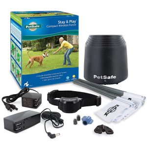 PetSafe Stay and Play