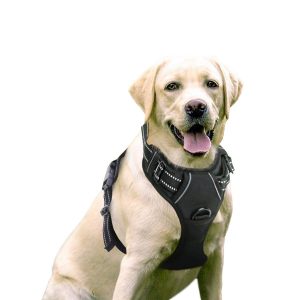 Rabbitgoo Dog Harness Best Harness for small dogs