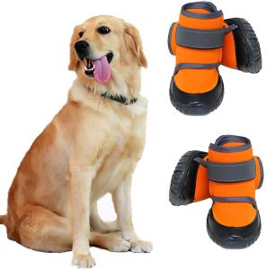 40 Best Boots for Dogs 2022: Reviews & Buyer’s Guide 1