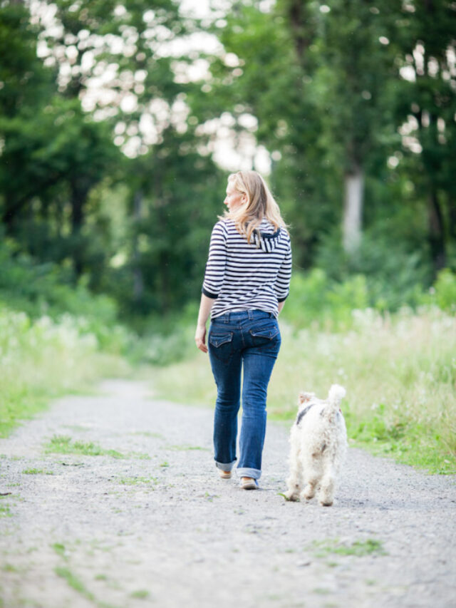 Why Does My Dog Follow Me Everywhere? 10 Reasons Story
