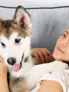 cropped-woman-lying-with-malamute-on-couch.jpg