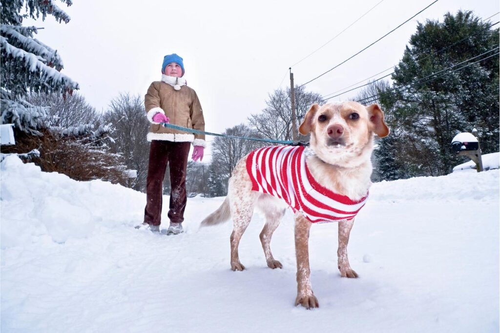 dog walker in the snow gifts for dog walkers