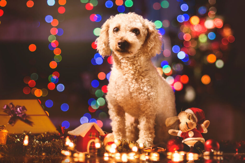 dog ornaments christmas