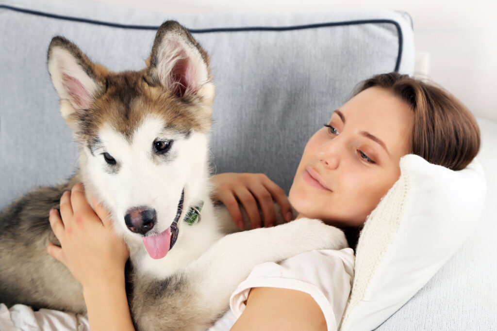 woman lying with malamute on couch why doesn't my dog like me