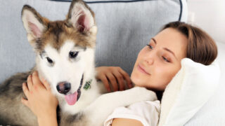 woman lying with malamute on couch
