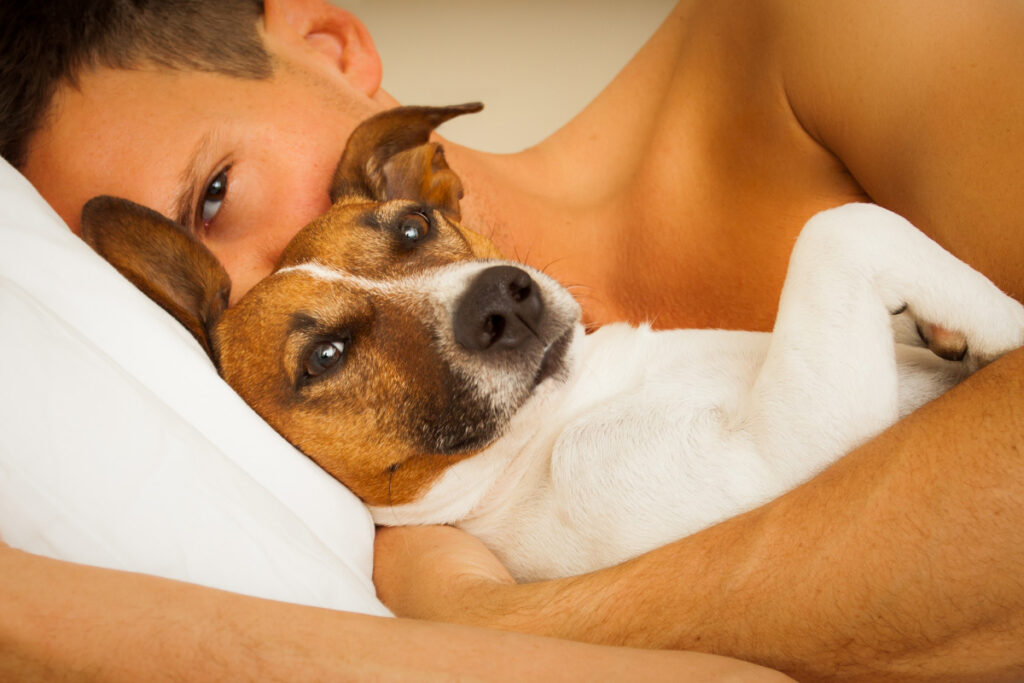 dog being cuddled in bed with man