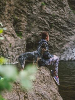 cropped-dog-at-waterfall.jpg
