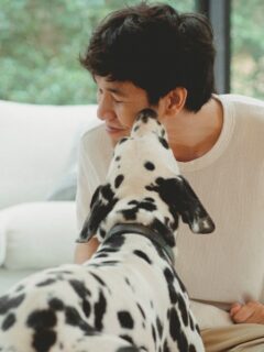 dalmation-licking-mans-face why does my dog lick my ears