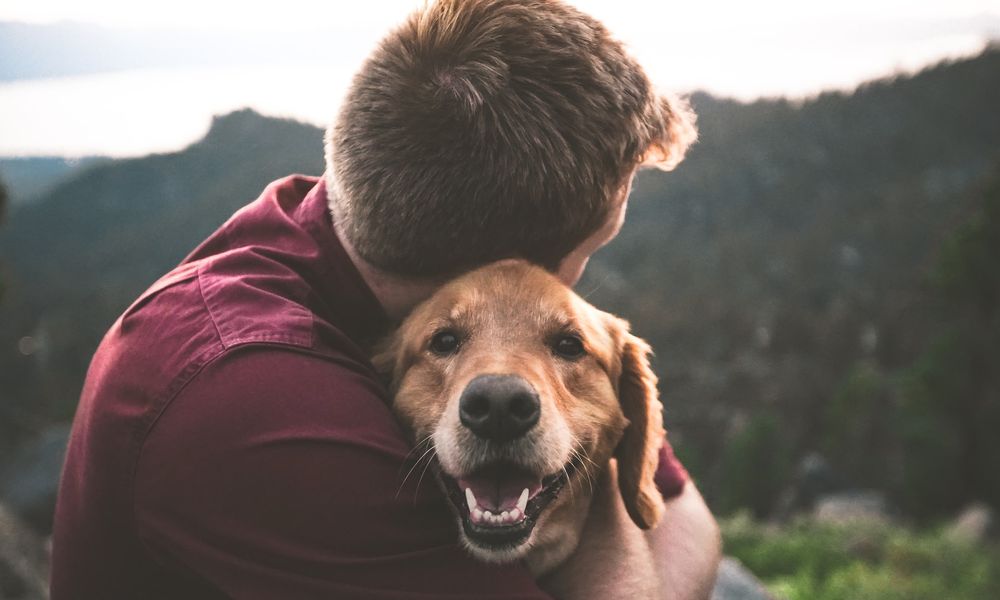 owner-and-dog-hugging